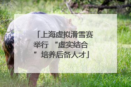 上海虚拟滑雪赛举行 “虚实结合”培养后备人才