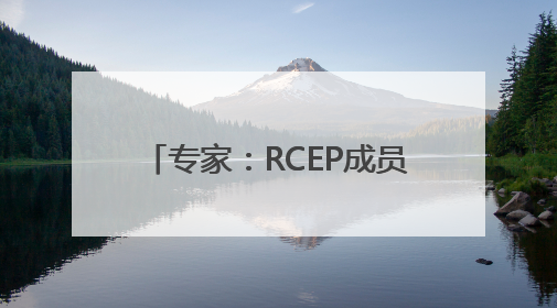 专家：RCEP成员国新能源汽车产业合作驶入共赢快车道