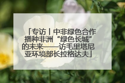 专访丨中非绿色合作播种非洲“绿色长城”的未来——访毛里塔尼亚环境部长拉格达夫