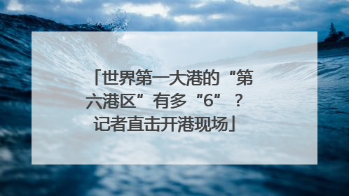 世界第一大港的“第六港区”有多“6”？记者直击开港现场