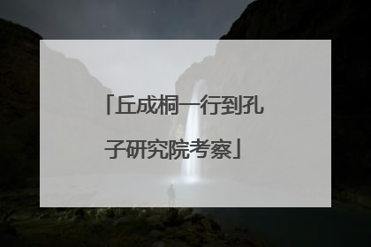 丘成桐一行到孔子研究院考察