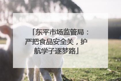 东平市场监管局：严把食品安全关，护航学子逐梦路