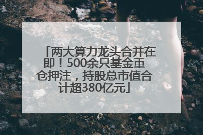 两大算力龙头合并在即！500余只基金重仓押注，持股总市值合计超380亿元