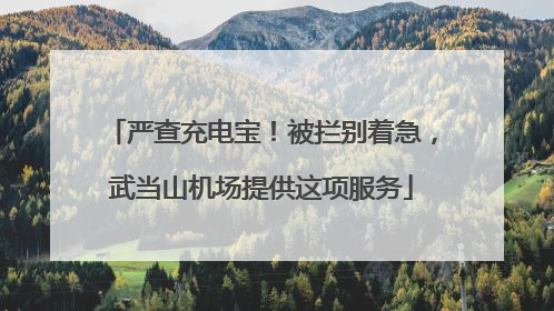 严查充电宝！被拦别着急，武当山机场提供这项服务