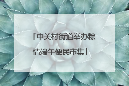 中关村街道举办粽情端午便民市集