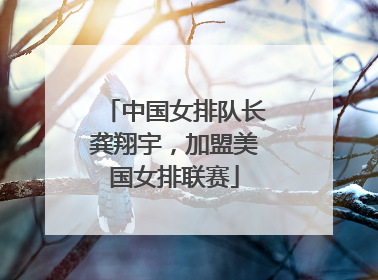 中国女排队长龚翔宇，加盟美国女排联赛