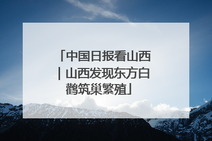 中国日报看山西｜山西发现东方白鹳筑巢繁殖