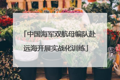 中国海军双航母编队赴远海开展实战化训练