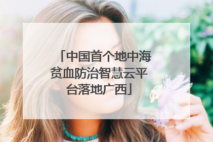 中国首个地中海贫血防治智慧云平台落地广西