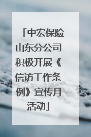 中宏保险山东分公司积极开展《信访工作条例》宣传月活动