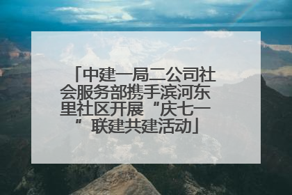 中建一局二公司社会服务部携手滨河东里社区开展“庆七一”联建共建活动