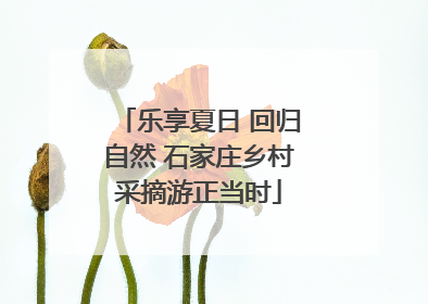 乐享夏日 回归自然 石家庄乡村采摘游正当时