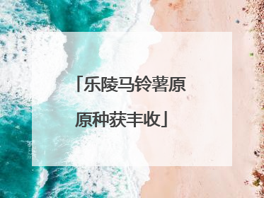 乐陵马铃薯原原种获丰收