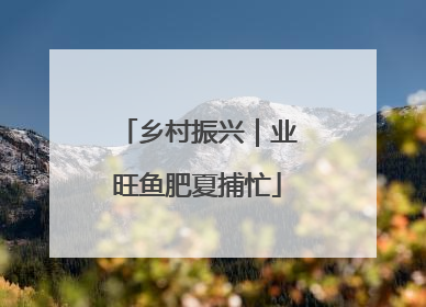 乡村振兴｜业旺鱼肥夏捕忙