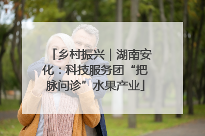 乡村振兴｜湖南安化：科技服务团“把脉问诊”水果产业