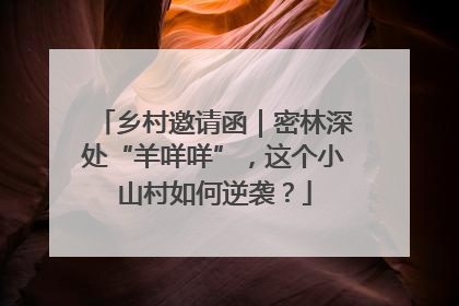 乡村邀请函｜密林深处“羊咩咩”，这个小山村如何逆袭？