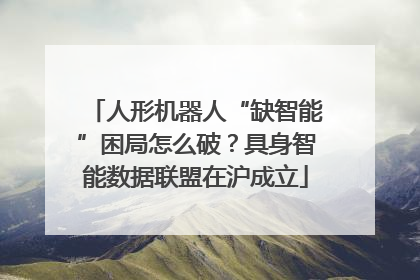 人形机器人“缺智能”困局怎么破？具身智能数据联盟在沪成立