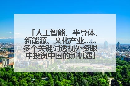 人工智能、半导体、新能源、文化产业……多个关键词透视外资眼中投资中国的新机遇