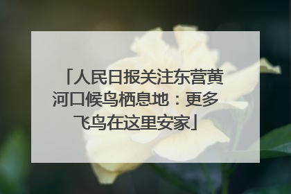 人民日报关注东营黄河口候鸟栖息地：更多飞鸟在这里安家