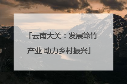 云南大关：发展筇竹产业 助力乡村振兴
