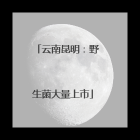 云南昆明：野生菌大量上市
