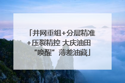 井网重组+分层精准+压裂精控 大庆油田“唤醒”薄差油藏