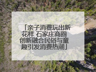 亲子消费玩出新花样 石家庄商圈创新融合民俗与童趣引发消费热潮