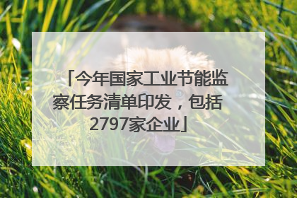 今年国家工业节能监察任务清单印发，包括2797家企业