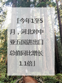 今年1至5月，河北对中亚五国进出口总值同比增长1.1倍