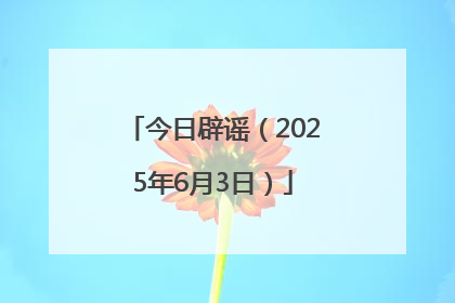 今日辟谣（2025年6月3日）