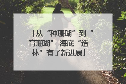 从“种珊瑚”到“育珊瑚” 海底“造林”有了新进展