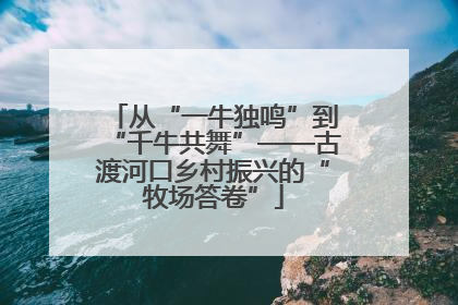 从“一牛独鸣”到“千牛共舞”——古渡河口乡村振兴的“牧场答卷”