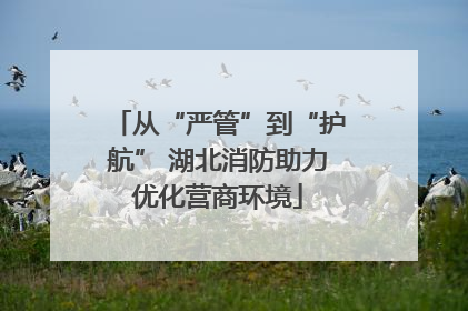 从“严管”到“护航” 湖北消防助力优化营商环境