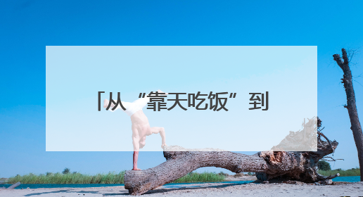 从“靠天吃饭”到“云端种地”！莱芜区“空天地网”织出数字农业新图景