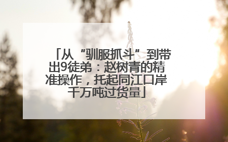 从“驯服抓斗”到带出9徒弟：赵树青的精准操作，托起同江口岸千万吨过货量