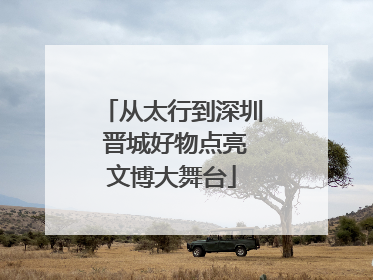 从太行到深圳 晋城好物点亮文博大舞台