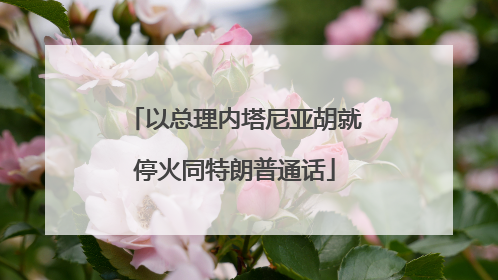 以总理内塔尼亚胡就停火同特朗普通话