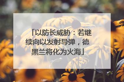 以防长威胁：若继续向以发射导弹，德黑兰将化为火海