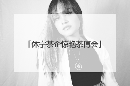 休宁茶企惊艳茶博会