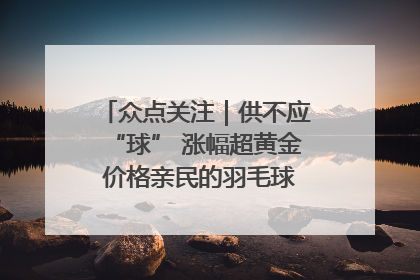 众点关注｜供不应“球” 涨幅超黄金 价格亲民的羽毛球为何身价飞涨？