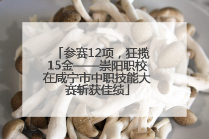 参赛12项，狂揽15金——崇阳职校在咸宁市中职技能大赛斩获佳绩