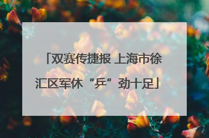 双赛传捷报 上海市徐汇区军休“乒”劲十足