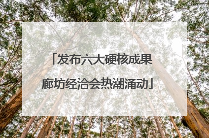 发布六大硬核成果 廊坊经洽会热潮涌动