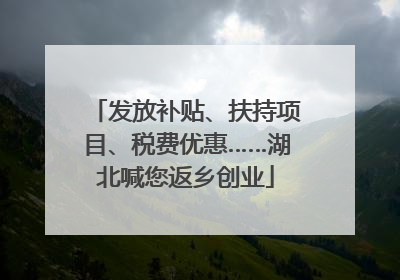 发放补贴、扶持项目、税费优惠……湖北喊您返乡创业