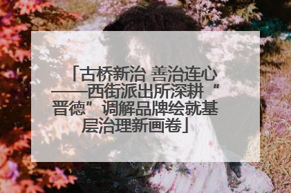 古桥新治 善治连心——西街派出所深耕“晋德”调解品牌绘就基层治理新画卷