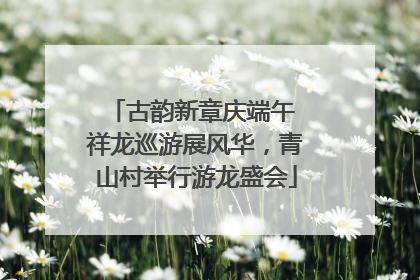 古韵新章庆端午 祥龙巡游展风华，青山村举行游龙盛会
