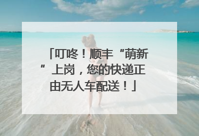 叮咚！顺丰“萌新”上岗，您的快递正由无人车配送！