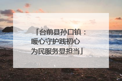 台前县孙口镇：暖心守护践初心 为民服务显担当