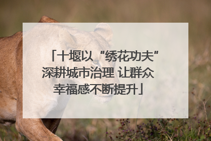 十堰以“绣花功夫”深耕城市治理 让群众幸福感不断提升