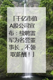 千亿市值A股公司宣布：续聘雷军为名誉董事长，不领取薪酬！